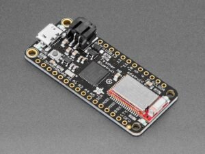 Ada Fruit Module
